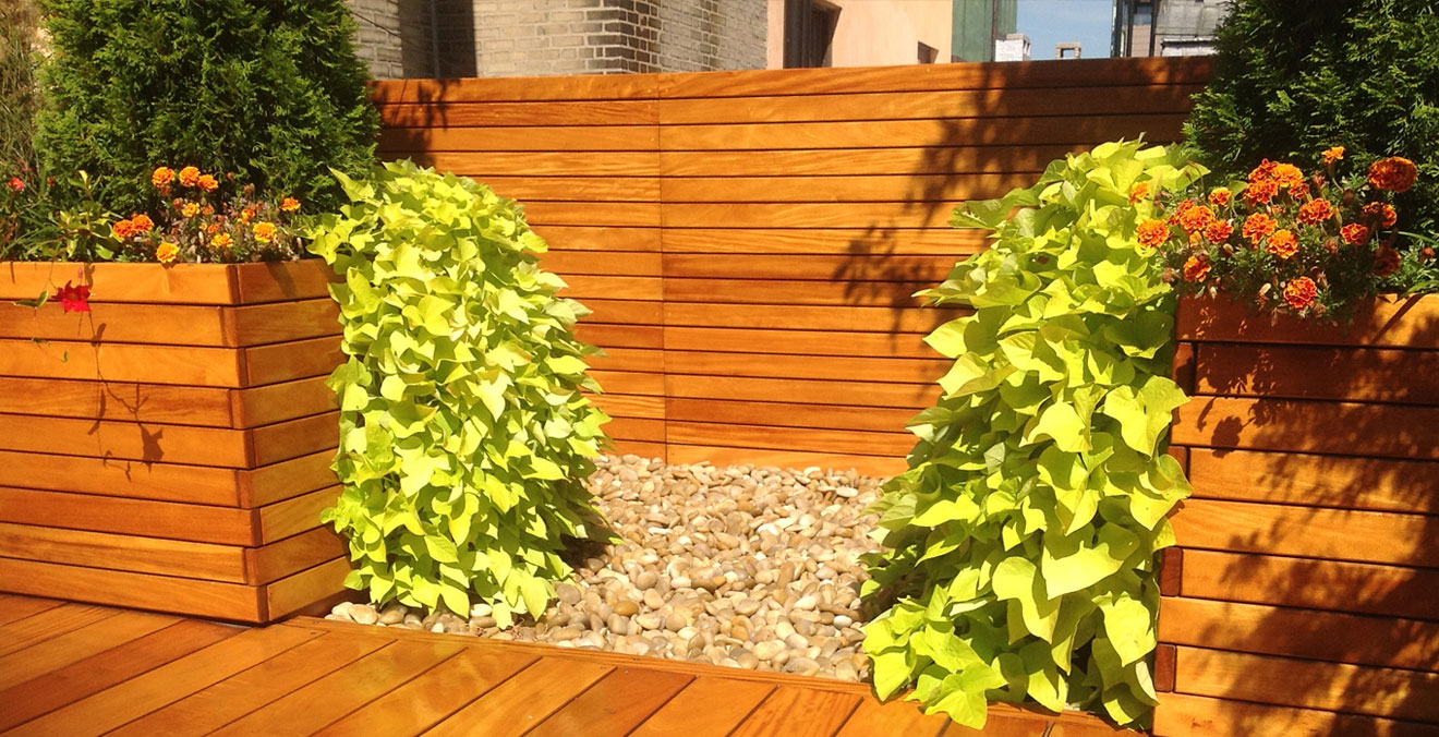 Yoga Roof Terrace