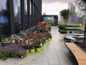 Hudson Yard Project Update 1