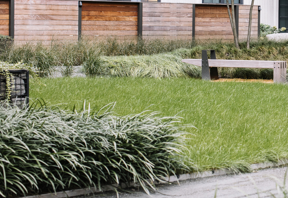 Extensive Green Roof