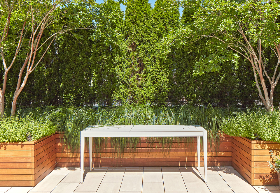 Roof Garden