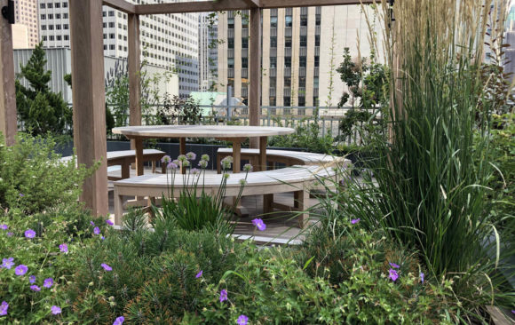 Midtown Law Office Luxury Rooftop Garden