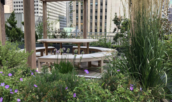 Midtown Law Office Luxury Rooftop Garden